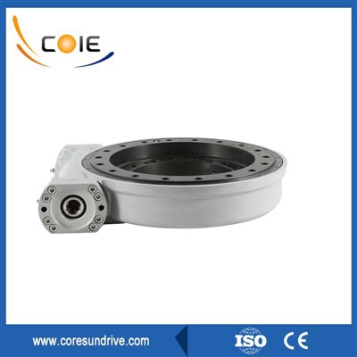 الساعة الرملية دودة العتاد محرك سوينغ الدائري